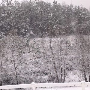 Meet your Posher, Ashlyn